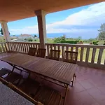 Oasis *