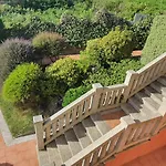 Oasis Pedornes