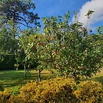 Oasis בית נופש