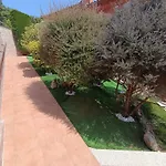 Oasis *
