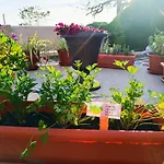 Oasis בית נופש