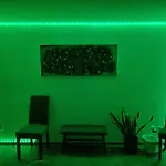 Oasis *