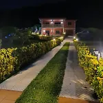 Oasis *