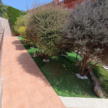 Oasis *