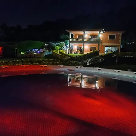 Oasis