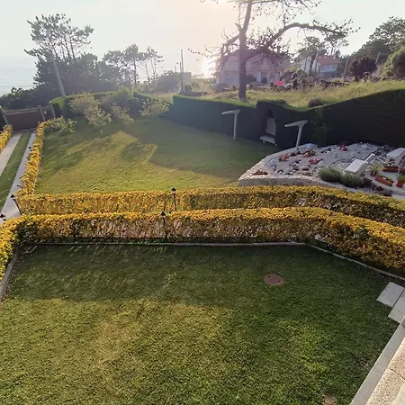 Oasis Pedornes