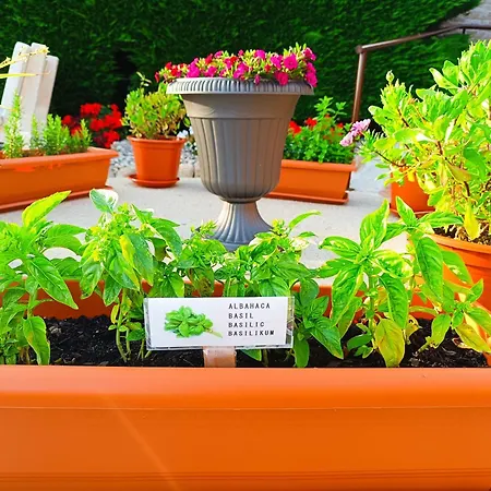 펜션 Oasis Pedornes