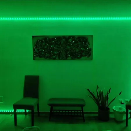 Oasis *