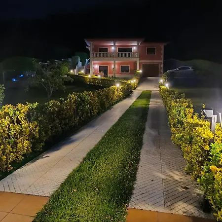 Oasis *