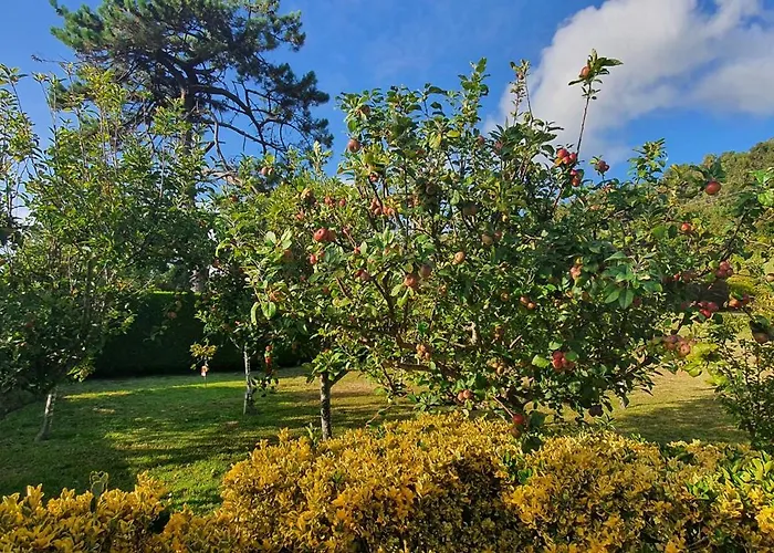 Oasis Σπίτι διακοπών