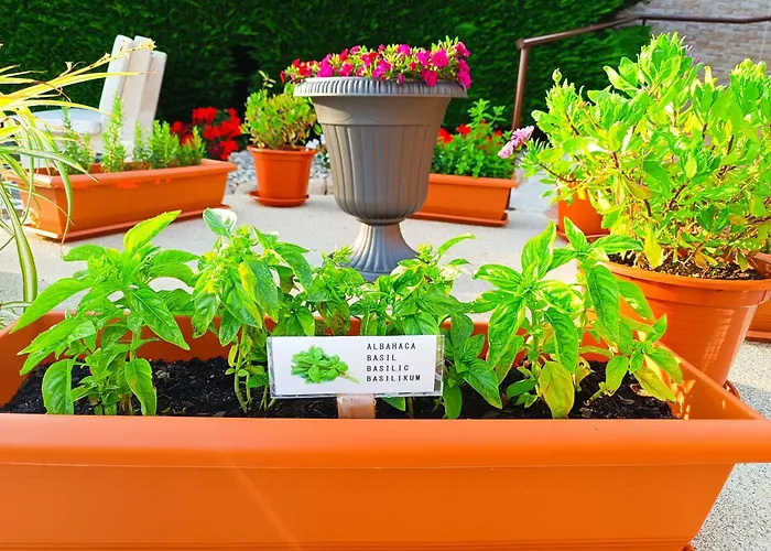 Σπίτι διακοπών Oasis Pedornes