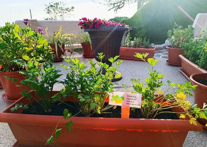 Oasis Σπίτι διακοπών